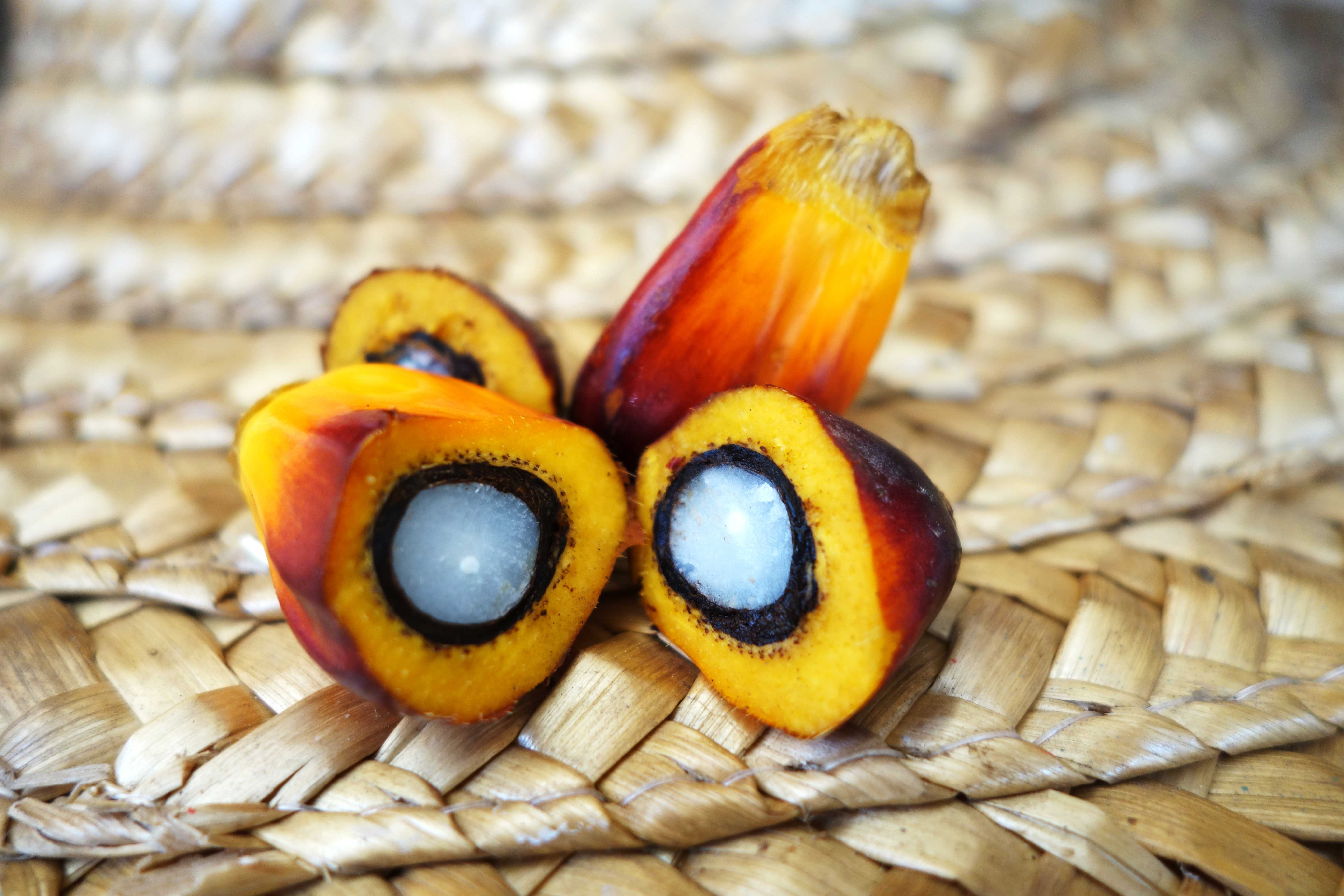 Palm Oil - Homa Horizon Trading